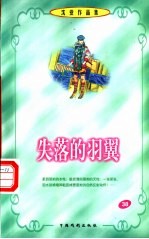 沈亚作品集 失落的羽翼