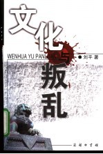 文化与叛乱 以清代秘密社会为视角
