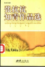 张抗抗知青作品选