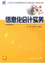 信息化会计实务