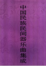 中国民族民间器乐曲集成 新疆卷 下