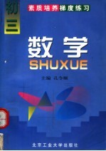 素质培养梯度练习 数学 初三