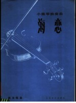 海恋 小提琴独奏曲