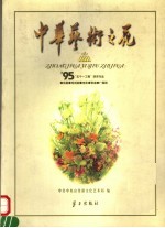 中华艺术之花 图集 1995