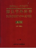膝关节外科学 上 第3版