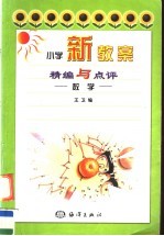 小学新教案精编与点评：数学