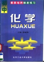 素质培养梯度练习 初中化学
