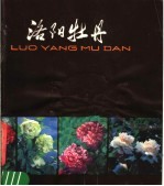 洛阳牡丹