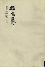孙宪华书法集