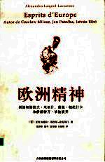 欧洲精神 围绕切斯拉夫·米沃什,雅恩·帕托什卡和伊斯特万·毕波展开