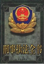 刑事执法全书 中