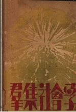 群集社会学