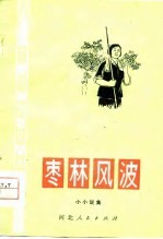 枣林风波 小小说集