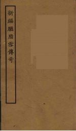 新编胭脂雪传奇 全