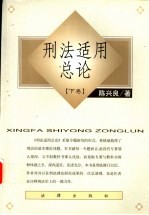 刑法适用总论 下