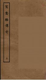鸳鸯绦传奇 上