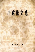 小说散文选