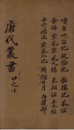 唐代丛书 10