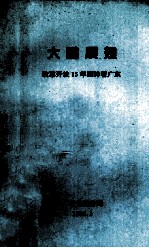 大鹏展翅 改革开放15年回眸看广东