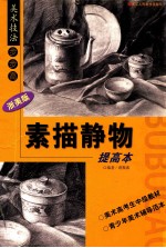 素描静物提高本 浙美版