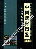 中国药材图鉴 中药材及混伪品鉴别 第4卷