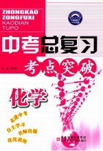 中考总复习考点突破 化学