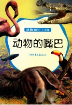 动物的嘴巴