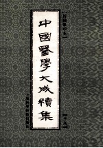 中国医学大成续集 19 通治