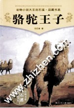 骆驼王子