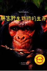 解密野生动物的生存