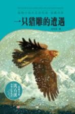 动物小说大王沈石溪品藏书系 一只猎雕的遭遇