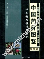 中国药材图鉴 中药材及混伪品鉴别 第3卷