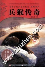 动物小说大王沈石溪品藏书系 兵猴传奇