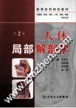 人体局部解剖学