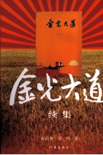 金光大道续集