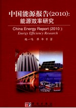 中国能源报告 2010 能源效率研究