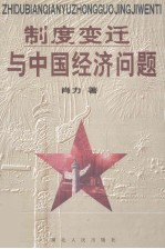 制度变迁与中国经济问题