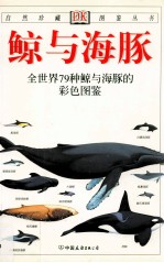 鲸与海豚