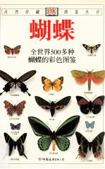 蝴蝶