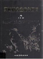 郑板桥书画编年图目 上