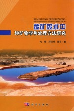 酸矿废水中砷矿物学和处理方法研究