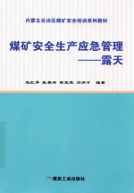 煤矿安全生产应急管理 露天
