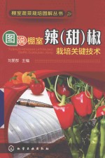 图说棚室辣(甜)椒栽培关键技术