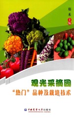 观光采摘园“热门”品种及栽培技术
