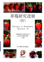 草莓研究进展 4