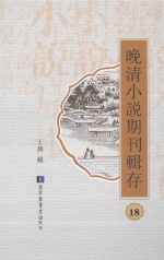 晚清小说期刊辑存 第18册