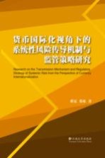 货币国际化视角下的系统性风险传导机制与监管策略研究