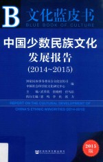 皮书系列 中国少数民族文化发展报告 2014-2015