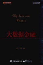 大数据金融丛书 大数据金融