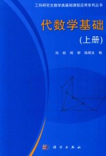 工科研究生数学类基础课程应用系列丛书 代数学基础 上